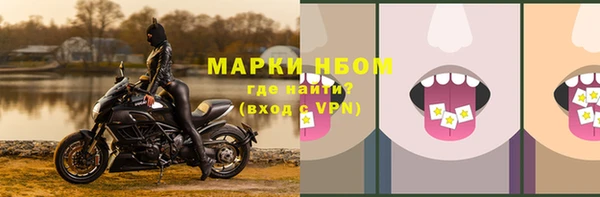 дживик Горнозаводск