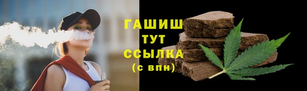 PSILOCYBIN Горно-Алтайск