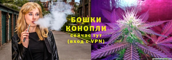 PSILOCYBIN Горно-Алтайск