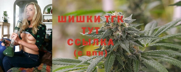 дживик Горнозаводск