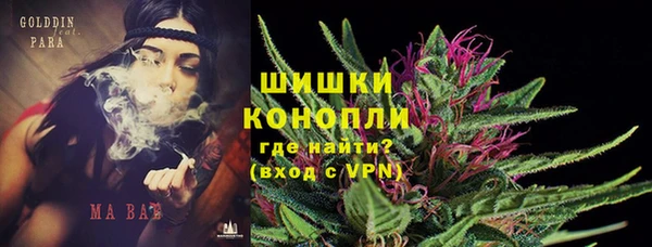 PSILOCYBIN Горно-Алтайск