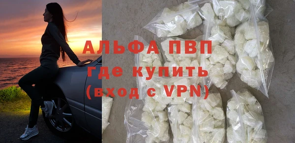 PSILOCYBIN Горно-Алтайск