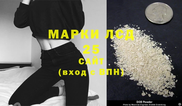 PSILOCYBIN Горно-Алтайск