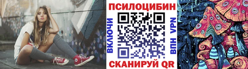 Купить  Нерюнгри  Галлюциногенные грибы Psilocybine cubensis 