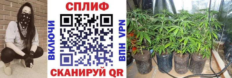 Купить закладки  Нерюнгри  Канабис план 